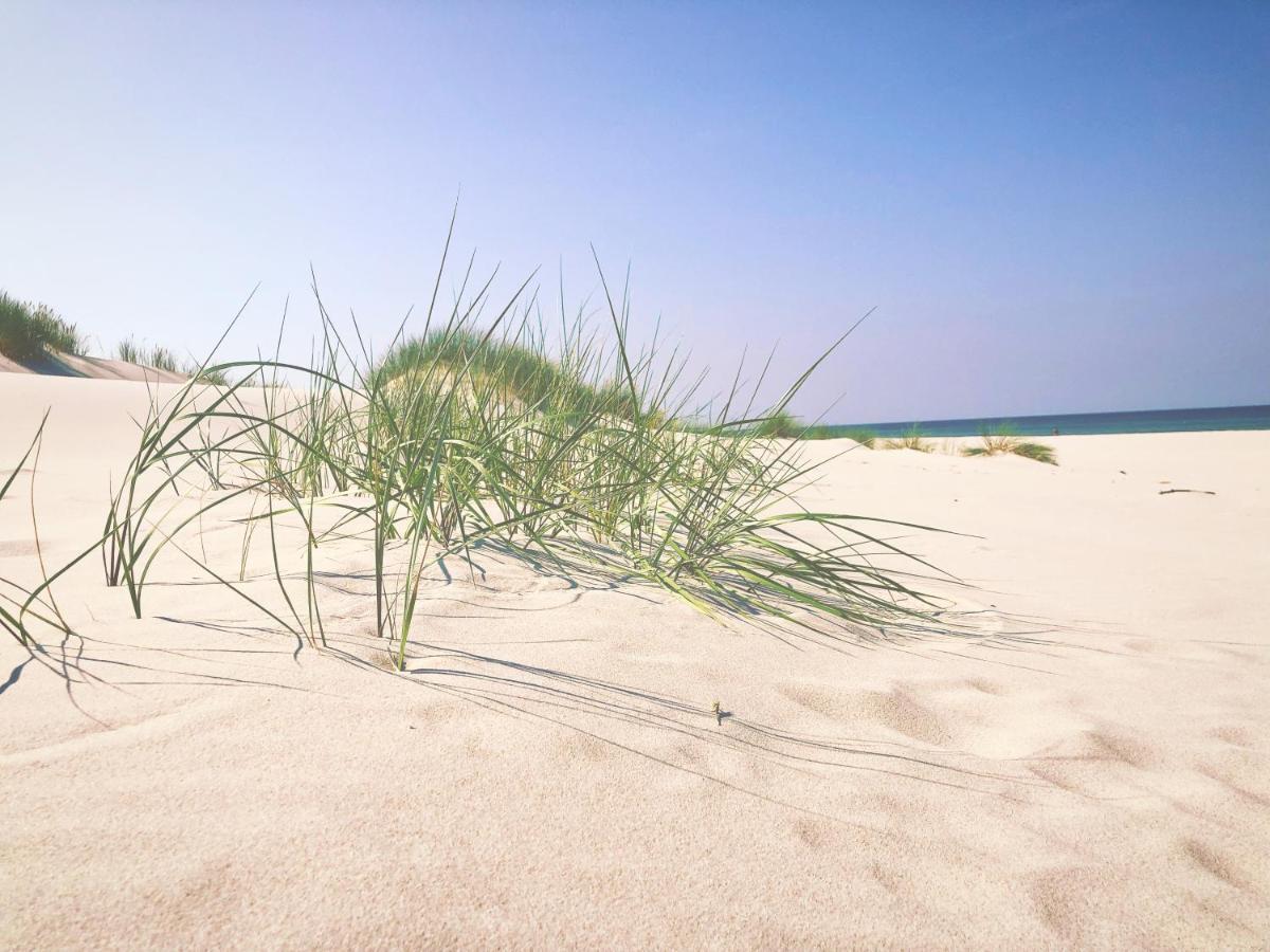 Morskie Domki Kopalino Caloroczne Lubiatowo  Dış mekan fotoğraf